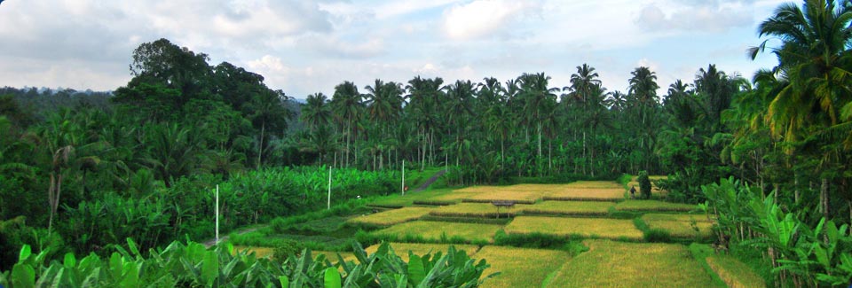 Bali Hospitality Group