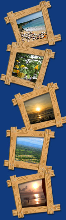 Rent a private villa in Bali and blend pampering and convenience when travelling with family or friends on vacation