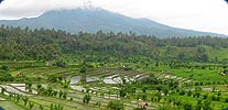 Search Bali Villas By Area